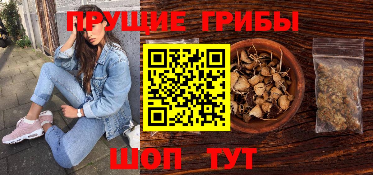 Галлюциногенные грибы Psilocybine cubensis  Вход с VPN  Минеральные Воды 